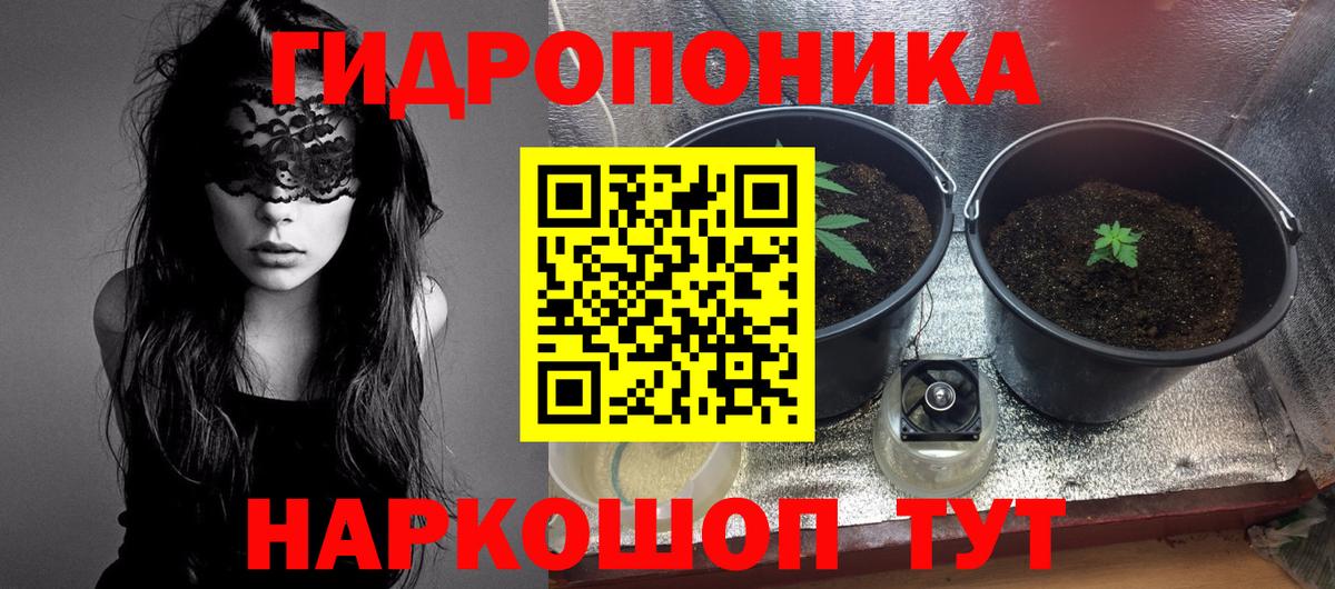 Видное  Каннабис ГИДРОПОН  Марихуана MAZAR  Вход с VPN 